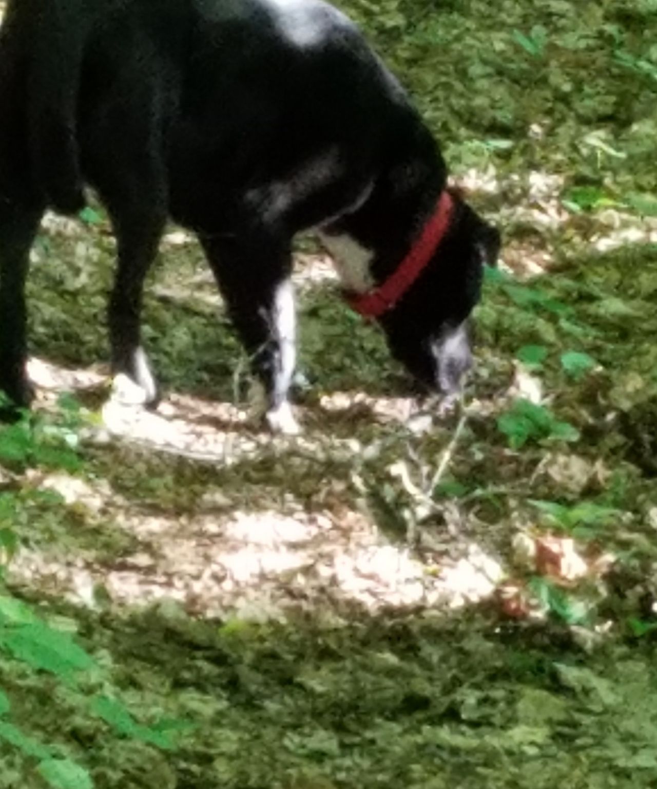 Jessie on the Chip and Dale Trail.jpg